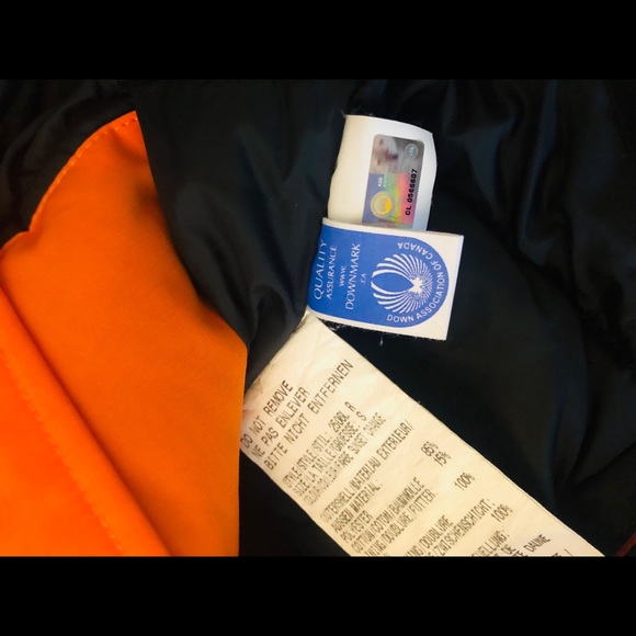 Canada goose - Picture 6 of 7